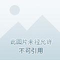 网游之妖孽人生 网游之妖孽人生